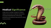 79442-snake-powerpoint-template-12