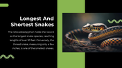 79442-snake-powerpoint-template-16