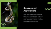 79442-snake-powerpoint-template-17