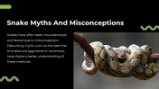 79442-snake-powerpoint-template-18