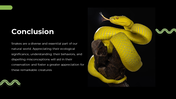 79442-snake-powerpoint-template-20