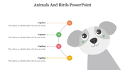 79486-animals-and-birds-powerpoint-template-06