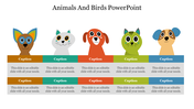 79486-animals-and-birds-powerpoint-template-15