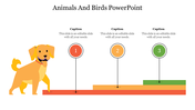 79486-animals-and-birds-powerpoint-template-19