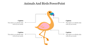 79486-animals-and-birds-powerpoint-template-21