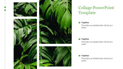 Collage layout of green leaves in four sections with three captions listed on the right, on a white background.