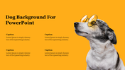 Dog with black and white fur wearing round yellow glasses against a bright orange background, with text placeholders.