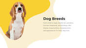 800072-dog-themed-powerpoint-template-02