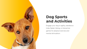 800072-dog-themed-powerpoint-template-06