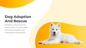 800072-dog-themed-powerpoint-template-09