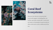 800104-coral-reef-powerpoint-template-free-03