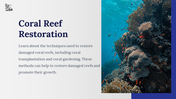 800104-coral-reef-powerpoint-template-free-07