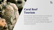 800104-coral-reef-powerpoint-template-free-08