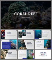 A pack of coral reef slides with an underwater scene featuring vibrant coral and marine life covering various topics.