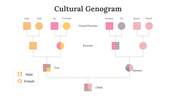 800219-genogram-example-09