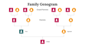 800219-genogram-example-10