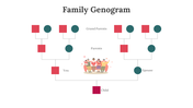 800219-genogram-example-11