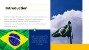 800275-brazilian-independence-day-02