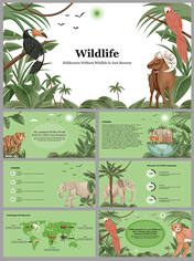 A pack of slides featuring illustrations of various wildlife animals in a lush green forest setting with icons and text area.