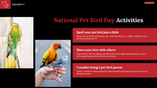 800386-national-pet-bird-day-05