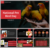 National Pet Bird Day Presentation and Google Slides Themes