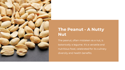 800410-national-peanut-day-04