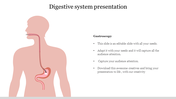 Illustration showing the digestive system with a gastroscopy tool inserted, accompanied by text caption.