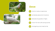 83012-birds-powerpoint-presentation-ppt-05