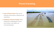 83196-prawn-powerpoint-presentation-04