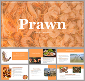 Slide pack with prawn imagery covering topics like anatomy, nutrition, farming, and preparation on orange backdrop.