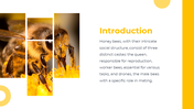 83294-castes-of-honey-bee-powerpoint-presentation-02