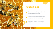 83294-castes-of-honey-bee-powerpoint-presentation-03