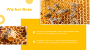 83294-castes-of-honey-bee-powerpoint-presentation-04