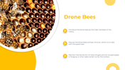 83294-castes-of-honey-bee-powerpoint-presentation-05