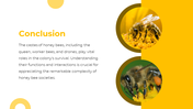 83294-castes-of-honey-bee-powerpoint-presentation-06