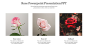 Rose themed slide showcasing three types of roses rose water, rose oil, and gulkand, with descriptive text for each.