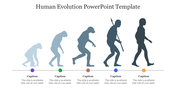 Silhouettes of human evolution stages from ape like ancestors to modern human progression with captions below each figure.