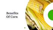 84018-benefits-of-corn-powerpoint-template-01