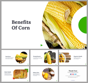 Benefits Of Corn PowerPoint and Google Slides Templates