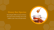 84358-honey-farming-presentation-ppt-03