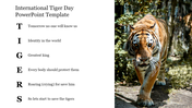 Creative International Tiger Day PowerPoint Template Slide