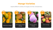 84509-mango-powerpoint-template-slide-03