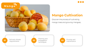 84509-mango-powerpoint-template-slide-05