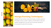 84509-mango-powerpoint-template-slide-11