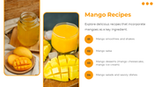 84509-mango-powerpoint-template-slide-13