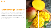 84509-mango-powerpoint-template-slide-14