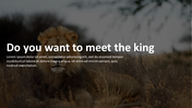 84640-zoo-powerpoint-template-01