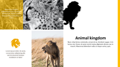 84640-zoo-powerpoint-template-04