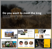 Lion photo with text at the top, followed by a series of slides showcasing zoo scenes and animals with yellow details.