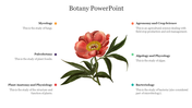 Botany slide featuring a flower image in the center, with six botanical fields and descriptions around it.